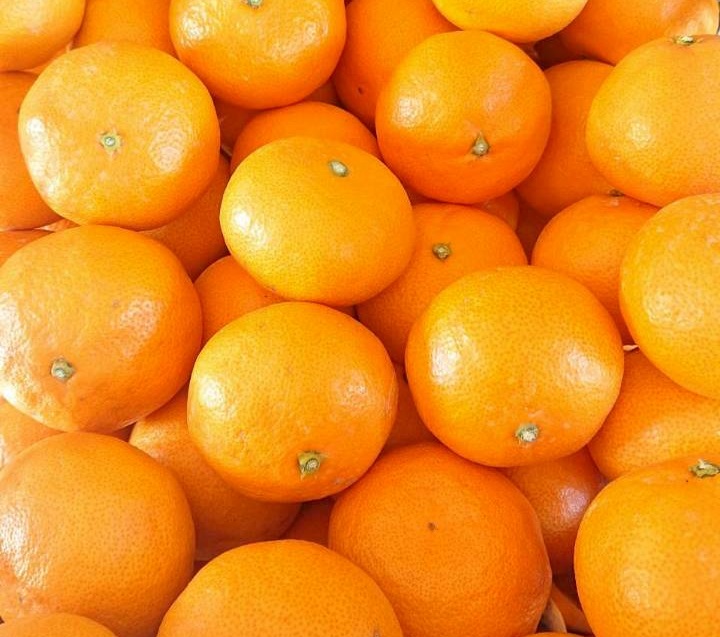 せとか（贈答用）