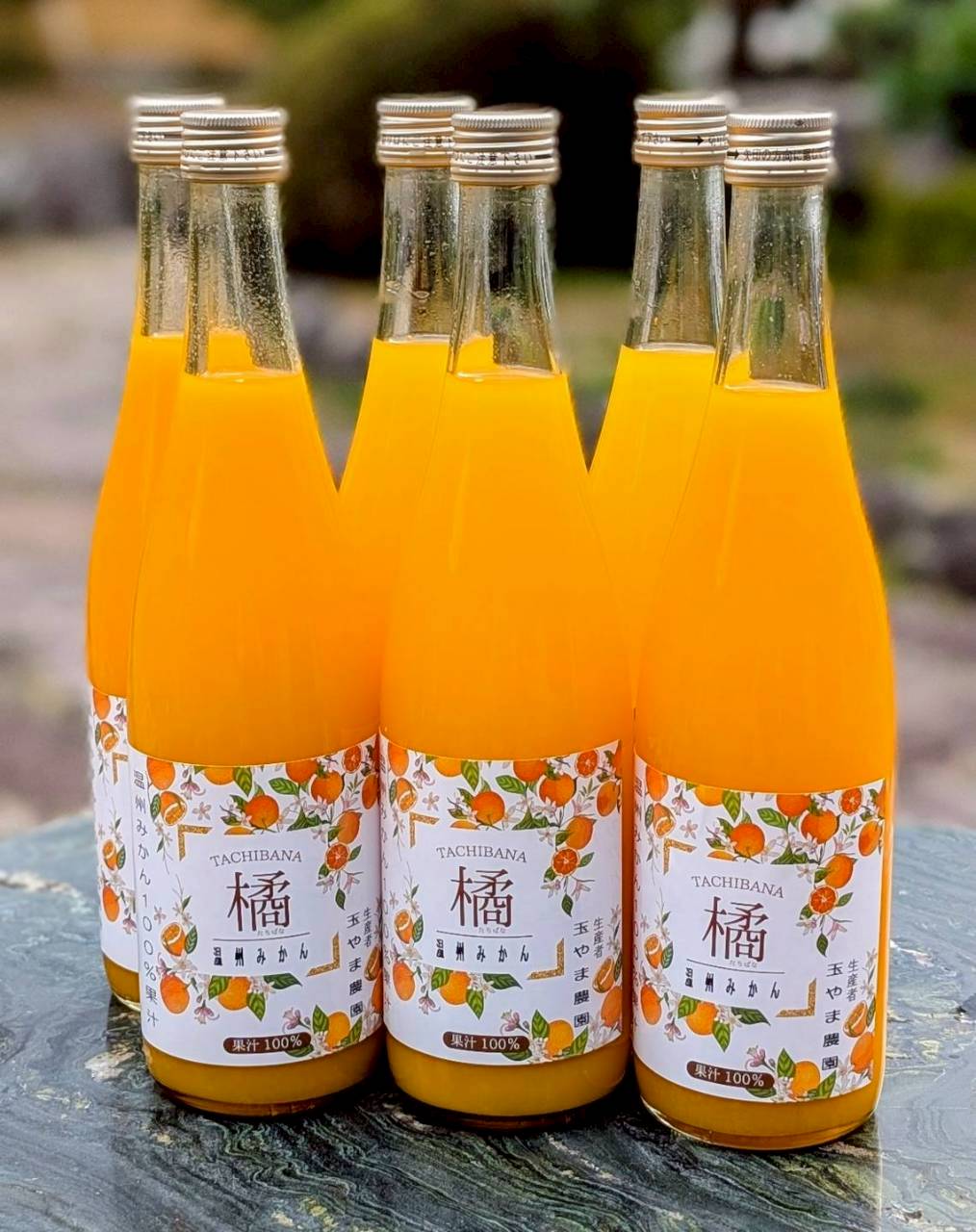 橘（温州みかん）